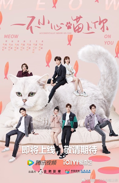 Accidentally Meow On You เหมียวเหมียวเกี่ยวใจให้เจอรัก ซับไทย