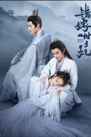 Destiny of Love รักสลับบัลลังก์ ซับไทย