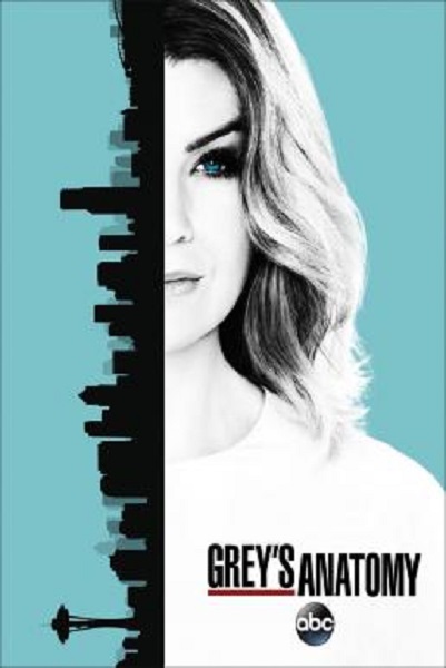 Grey’s Anatomy Season 13 (2016) ซับไทย