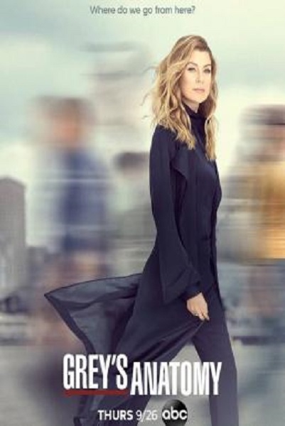 Grey’s Anatomy Season 16 (2019) ซับไทย
