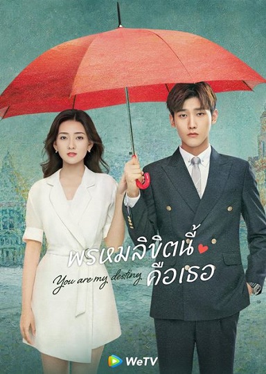 You Are My Destiny พรหมลิขิตนี้คือเธอ ซับไทย