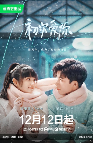 First Love วุ่นนัก โจทย์รักแรก ซับไทย